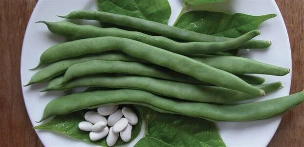 3A959388-15C7-4A4D-BF16-752758D027F7