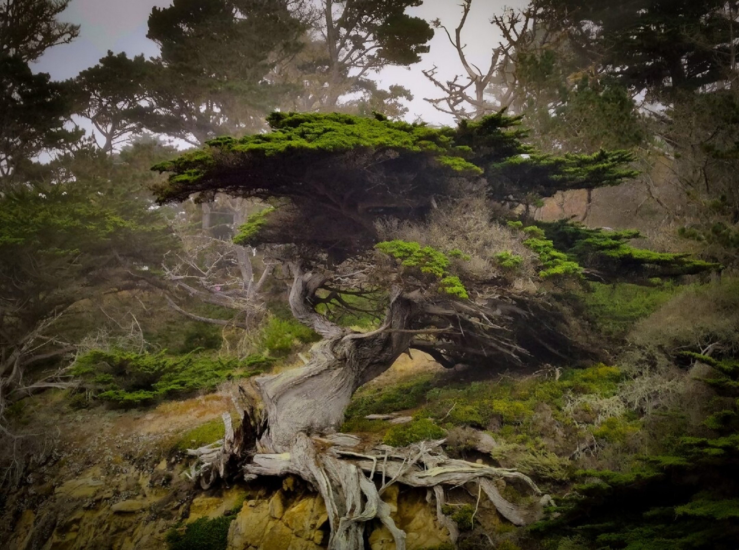 processed_Screenshot_20240907_211502_Link to Windows.jpg