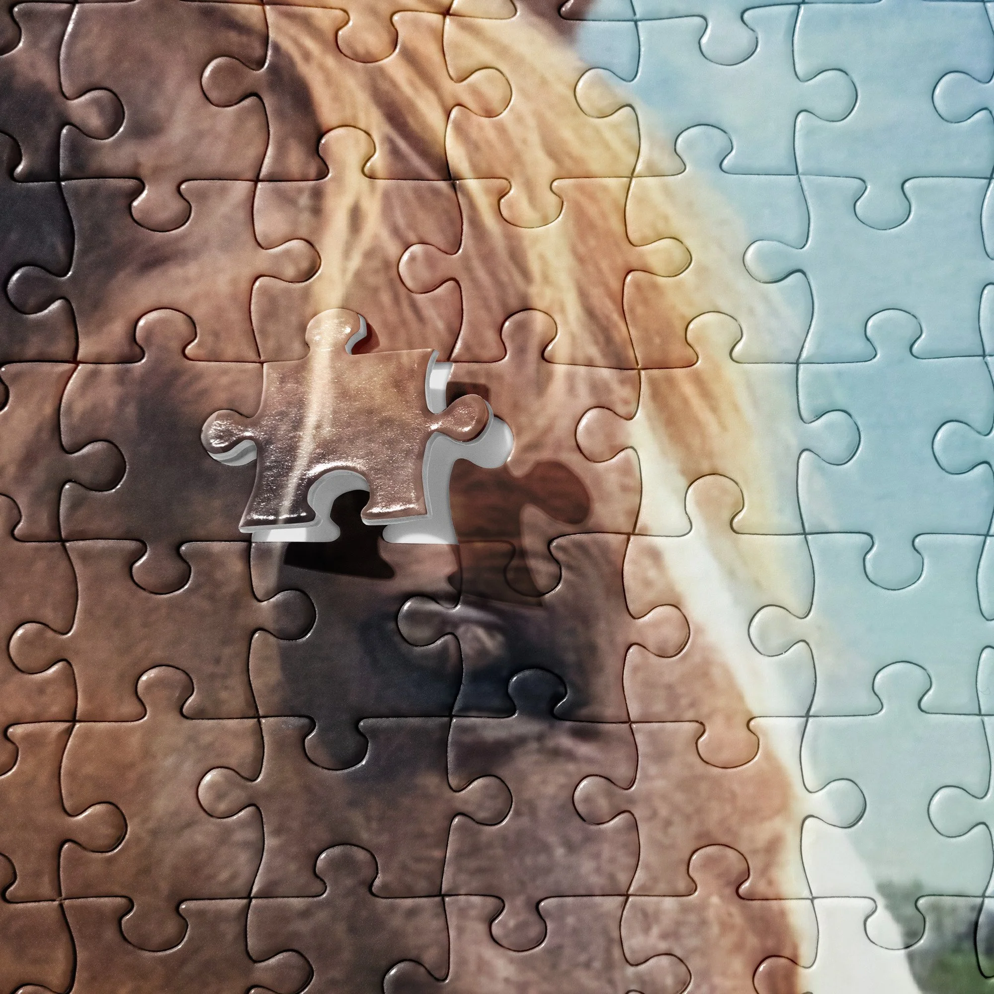 jigsaw-puzzle-252-pieces-product-details-673bb91b0966b.jpg