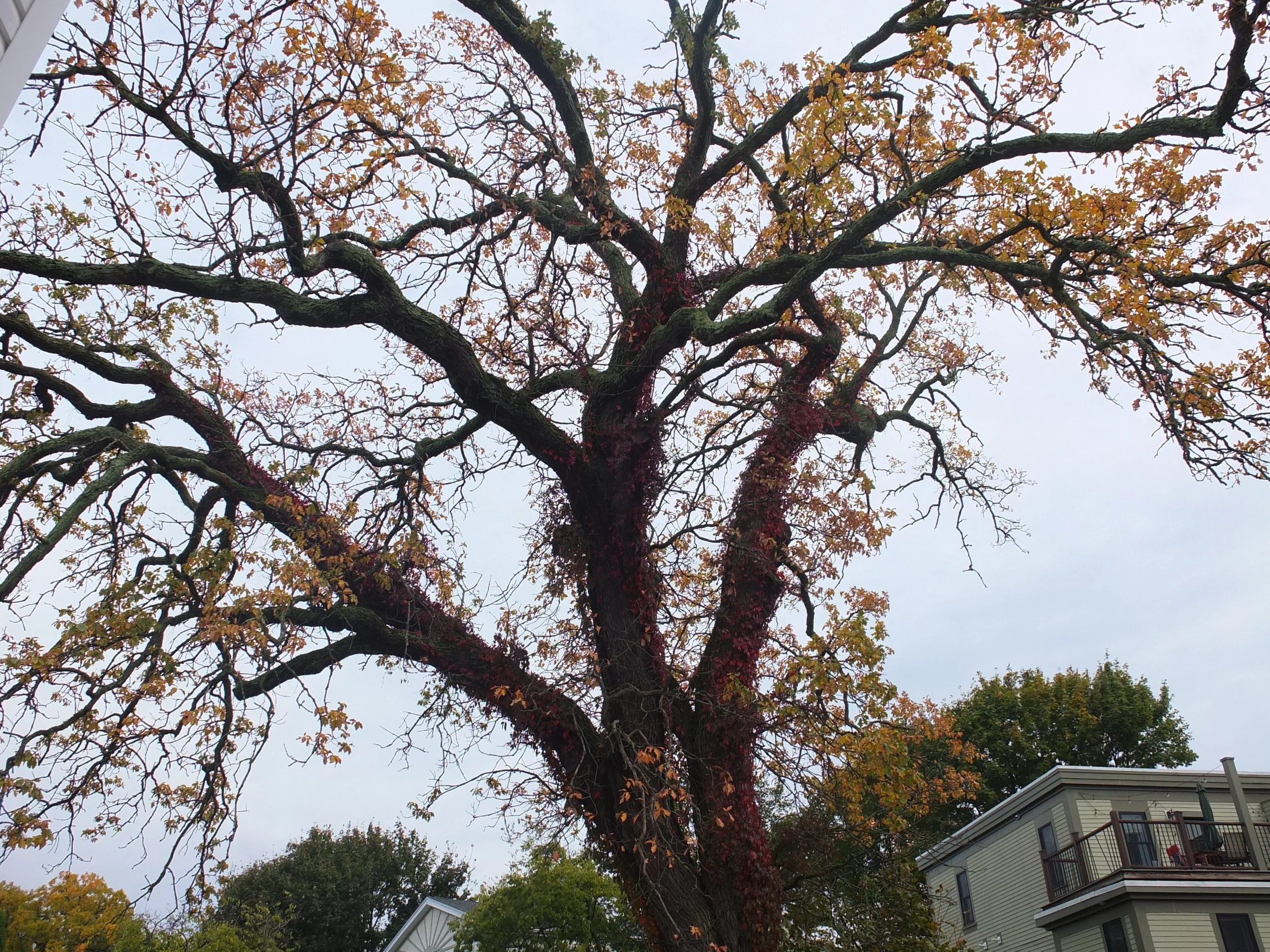 DSCF6983.JPG