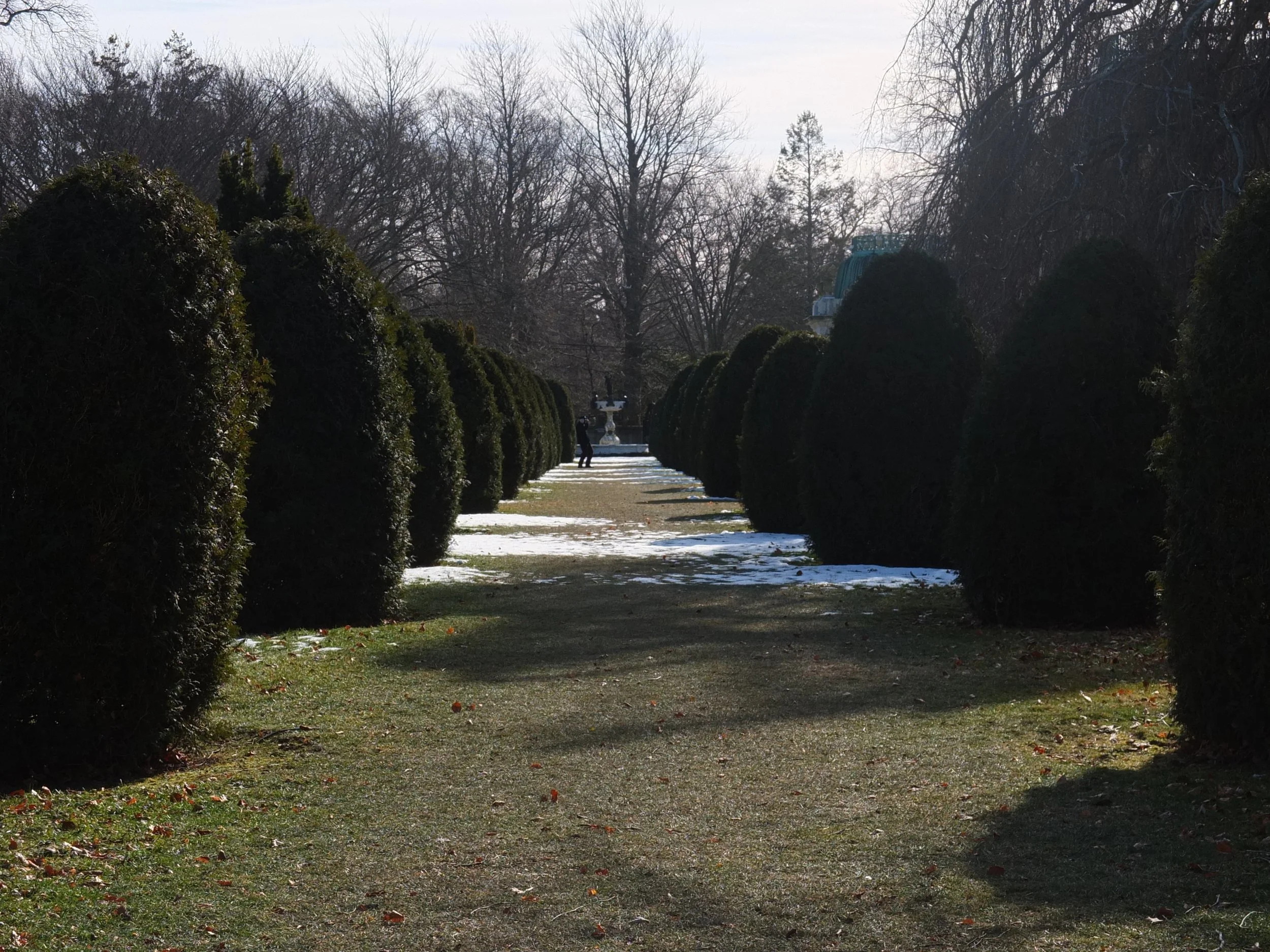 DSCF7151.JPG