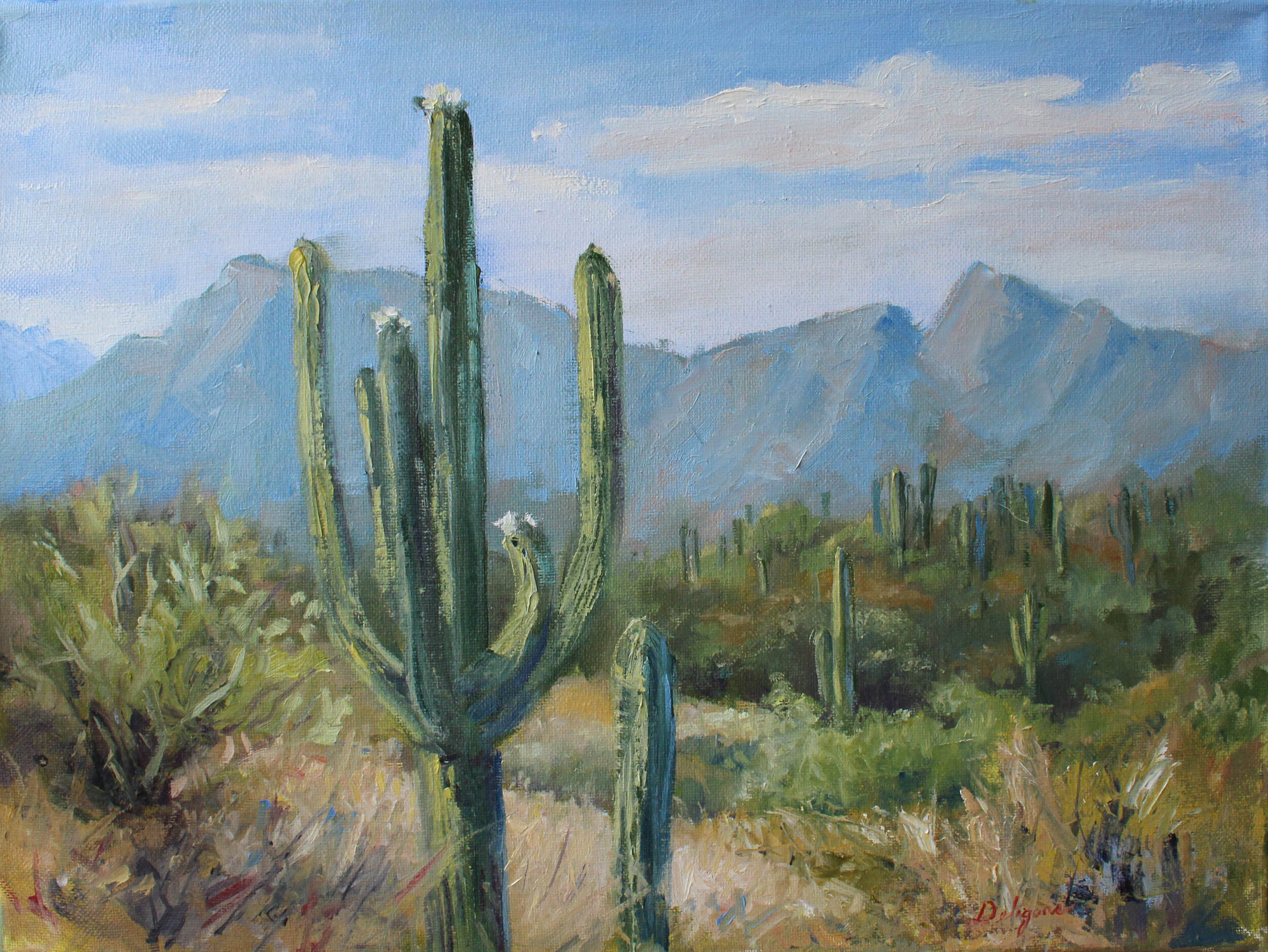 Honeybee Canyon 12 x 16 oil