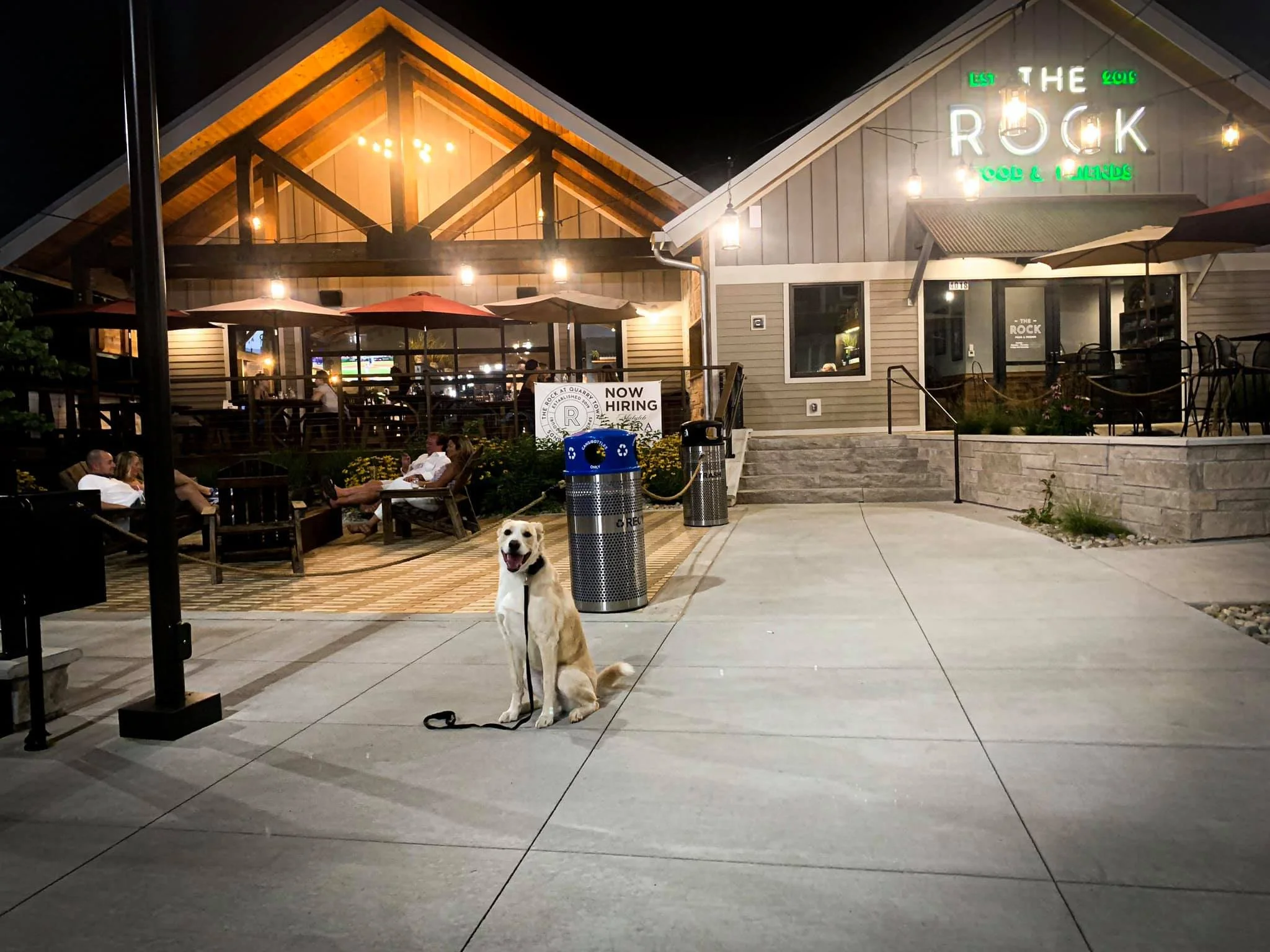 Services — Absolute Dog Training