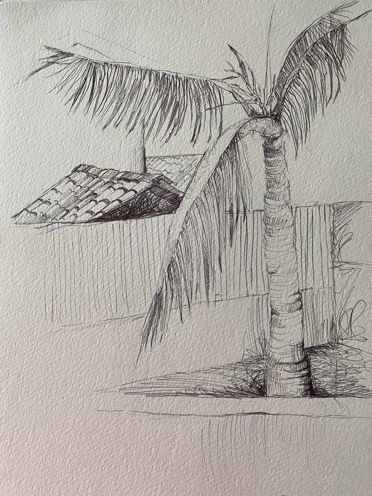 Study of a palm-Colombo- Pen & Ink