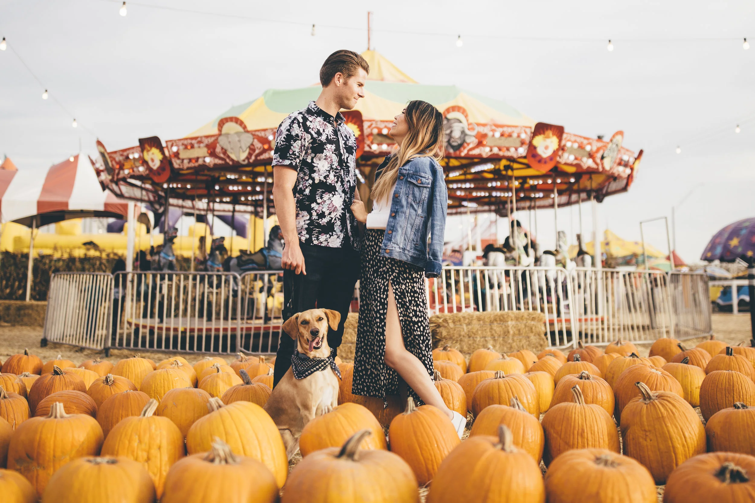 Pumpkin Patch & Pooch Maternity Shoot