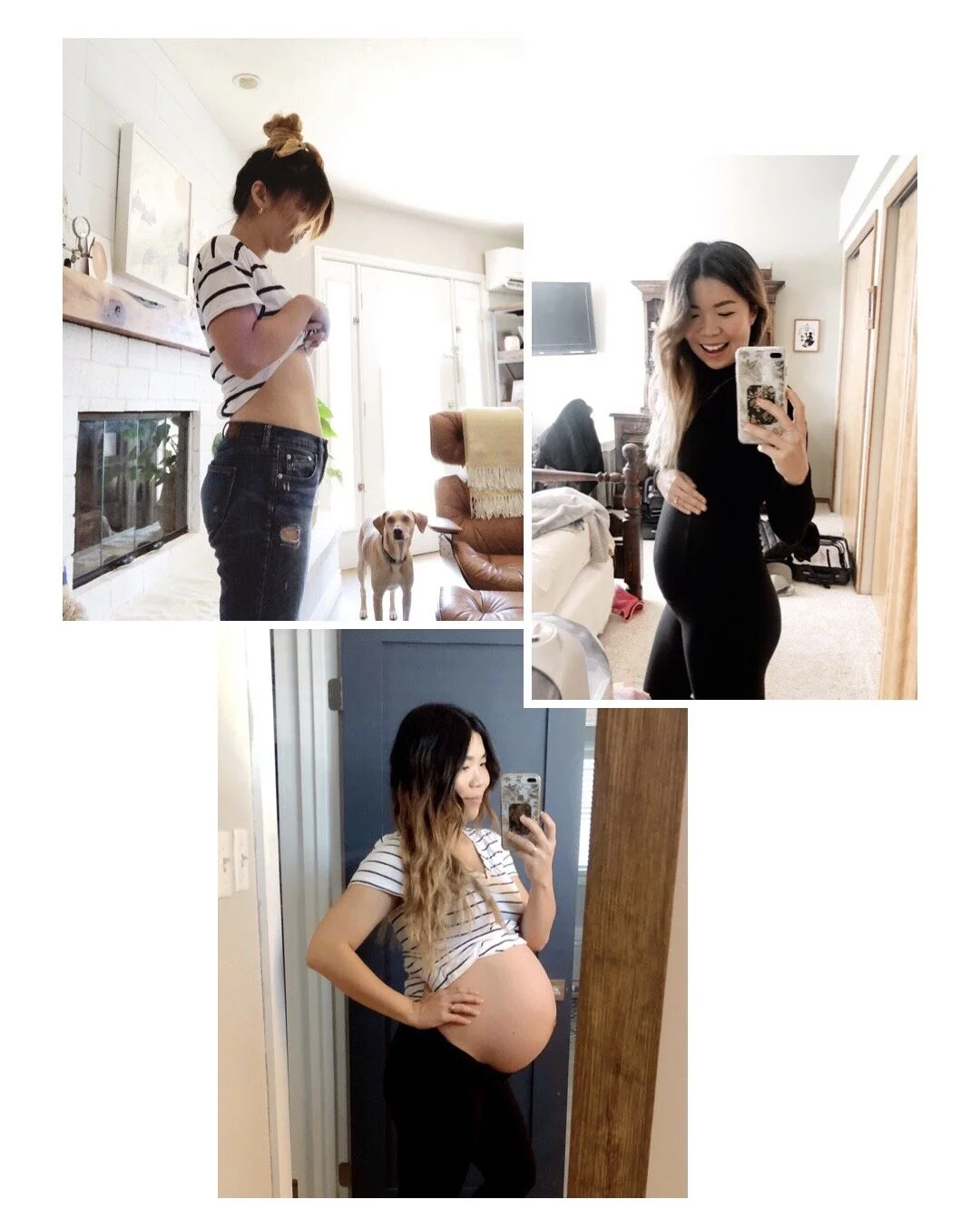 My Pregnancy Journey: Trimester by Trimester