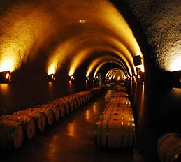 洞窟ワイナリー