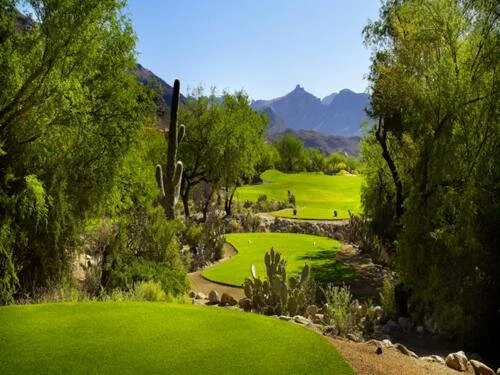 Planet Golf USA プラネットゴルフ　ゴルフコース　ゴルフ場　写真集 Amazon.co.jp: Planet Golf USA プラネットゴルフ ゴルフコース