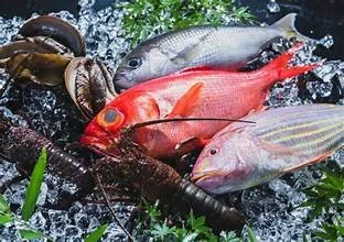 seafood.jpeg