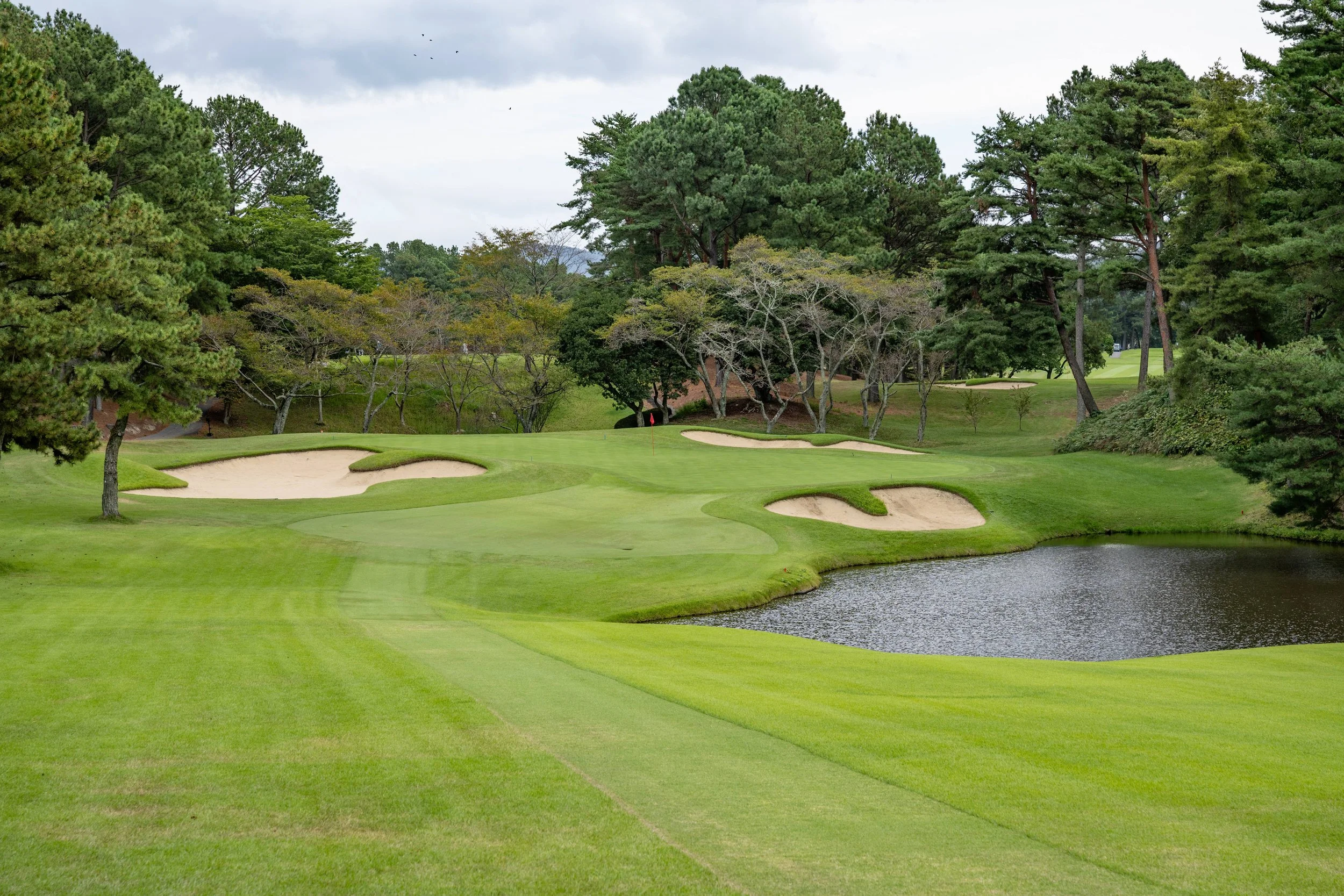 Japan Trip - Rokko Kokusail Golf Kobe 2023-10-3279 small.jpeg
