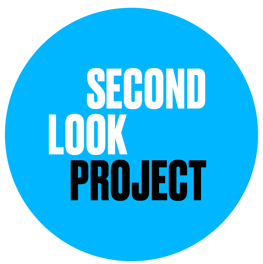 The Second Look Project