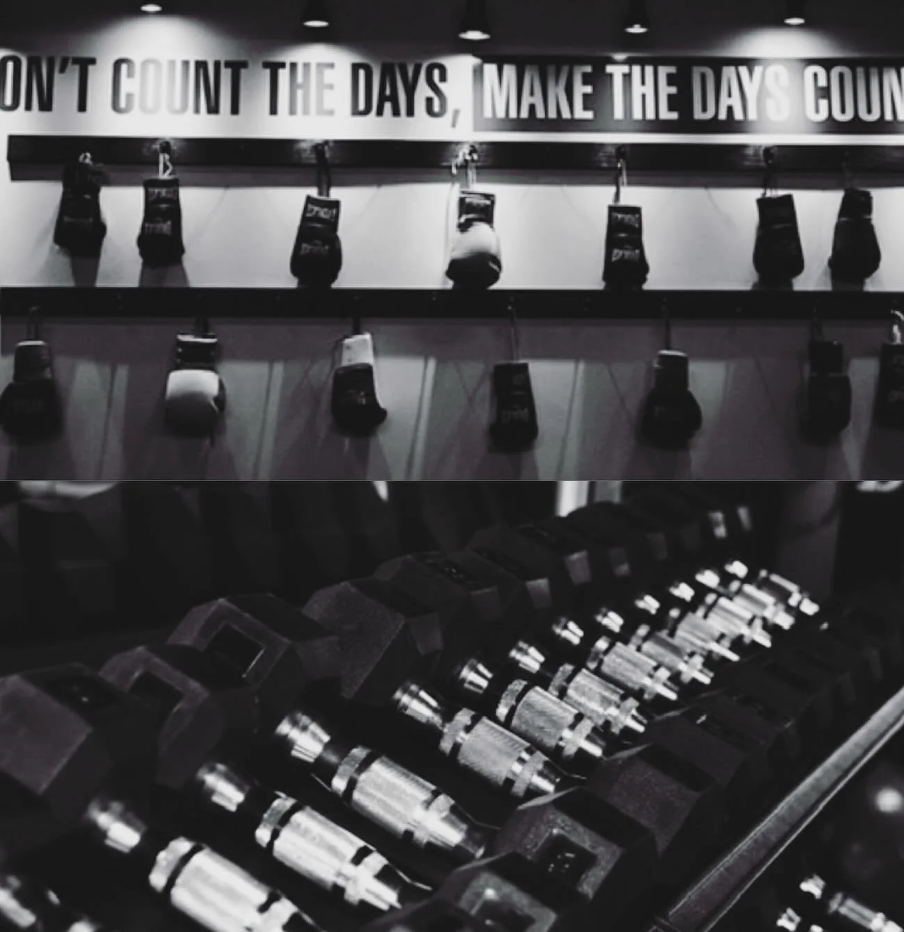 Don&rsquo;t count the day 
.
.
Make the days count 
.
.
#fcchaos #fcchaosboxingandfitness #thestudiobychaos #fcchaoscommunity #fitnesscommunity #fitnessjourney #fitnessfam #boxingclub #boxingclass #personaltraining #statenislandparents #statenislandk