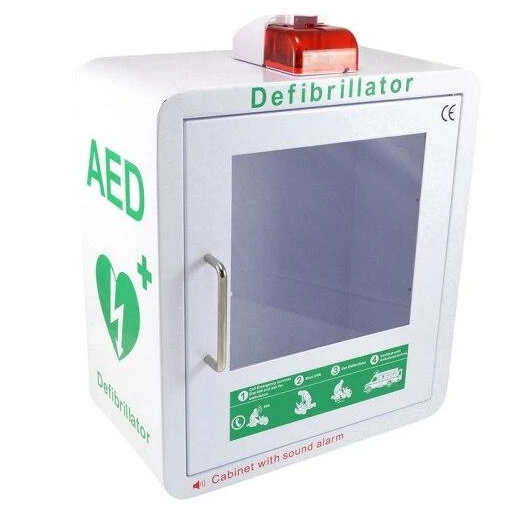 Wall Mounted Aed Cabinet With Alarm | Cabinets Matttroy