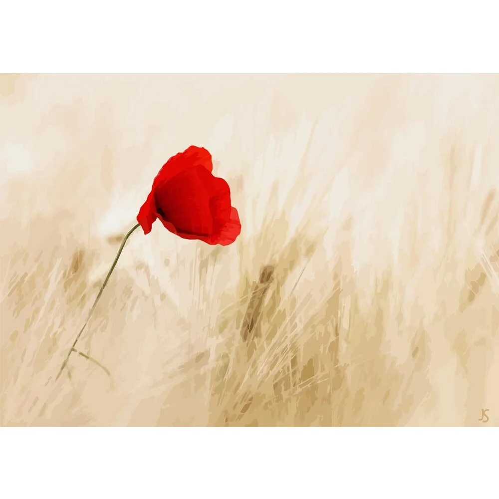 red poppy in a wheat field abstract figurative print