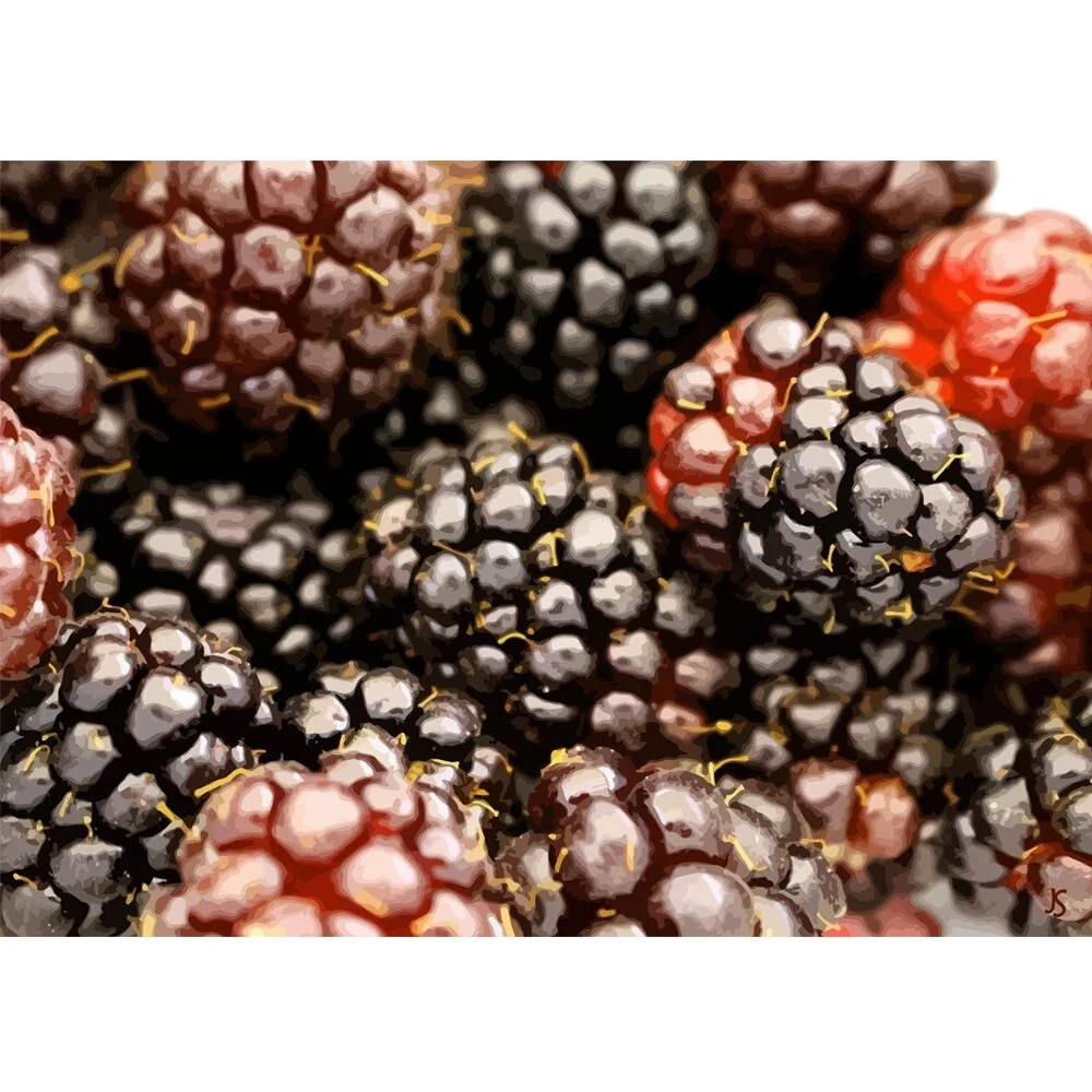 blackberries close-up abstract figurative print