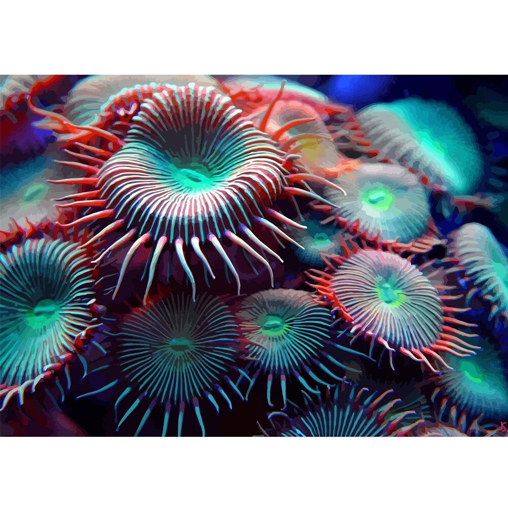 sea anemone underwater abstract figurative  print