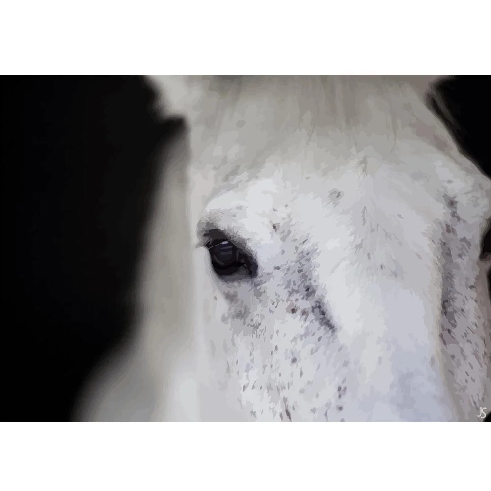 white horse head close up abstract figurative painting print