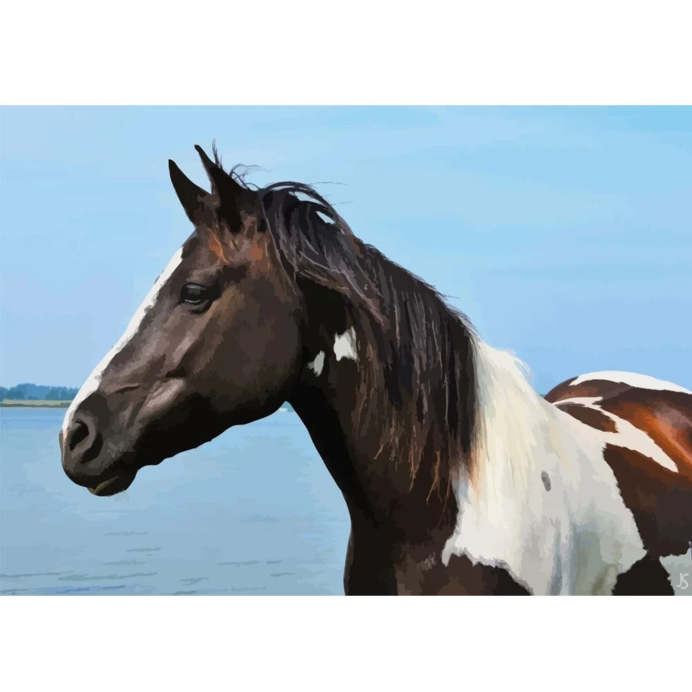 pinto horse watchful abstract figurative painting print