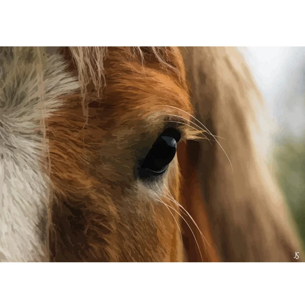 chestnut horse eye close up abstract figurative painting print