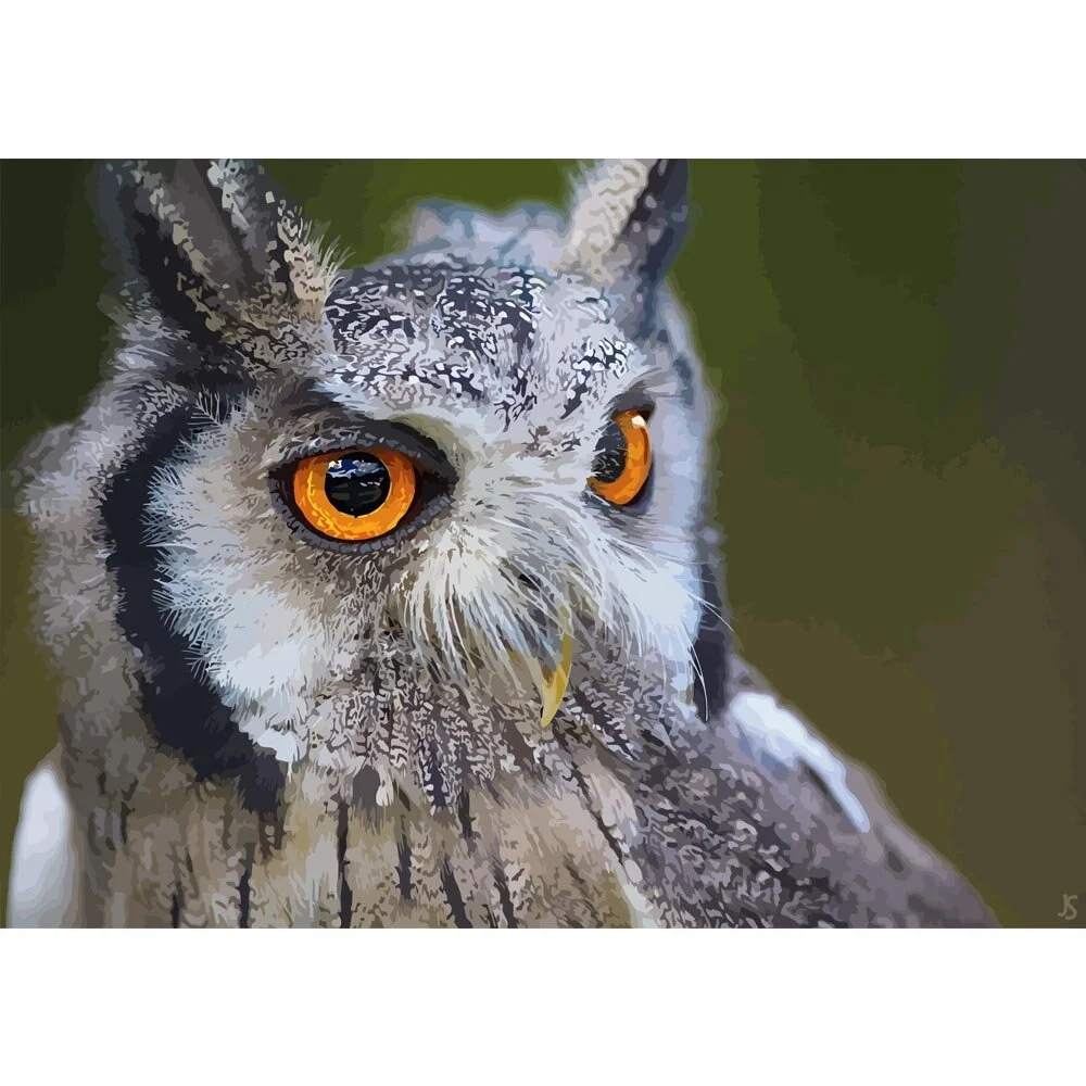 great horned owl eyes close up abstract figurative painting print