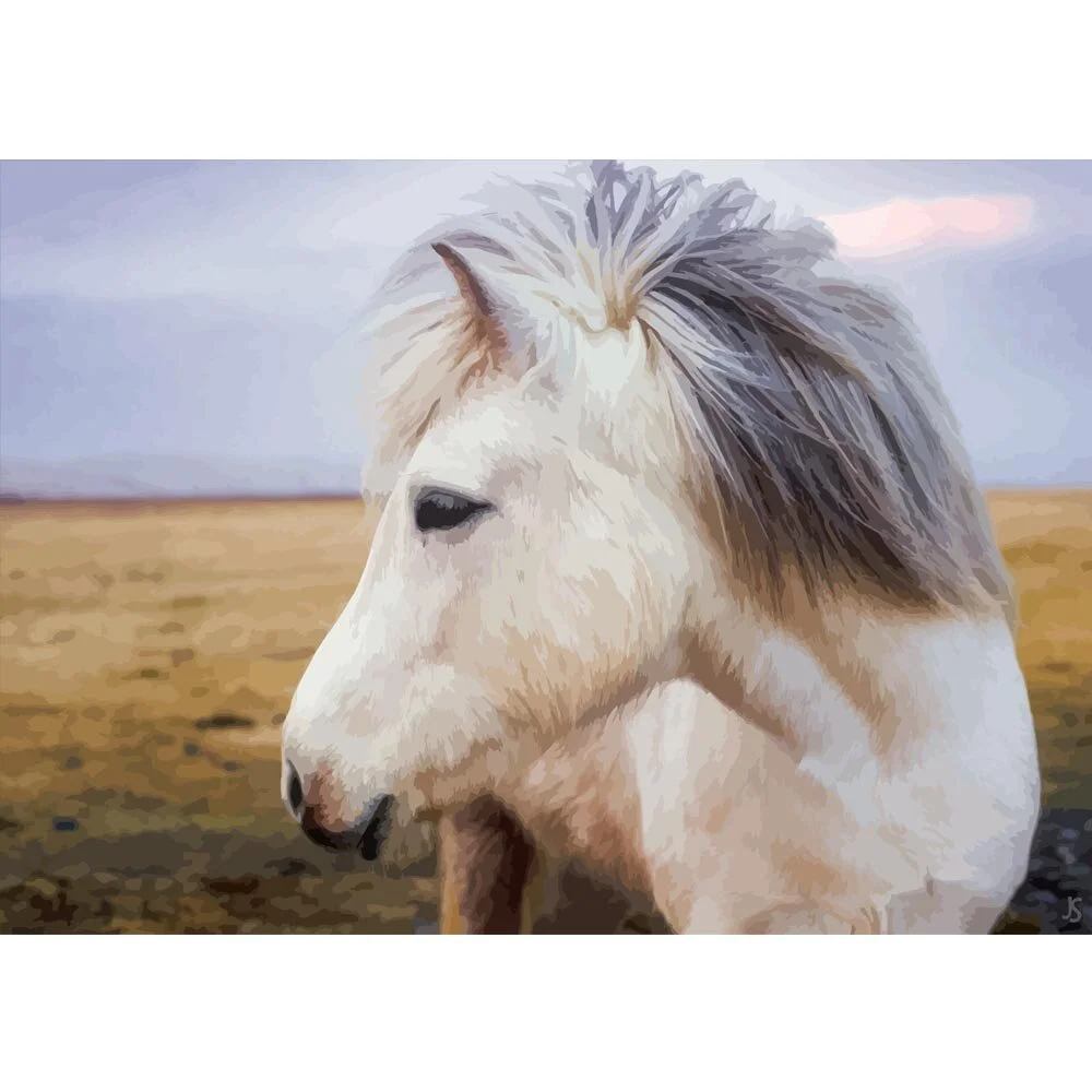 grey pony in grassy landscape abstract figurative painting print