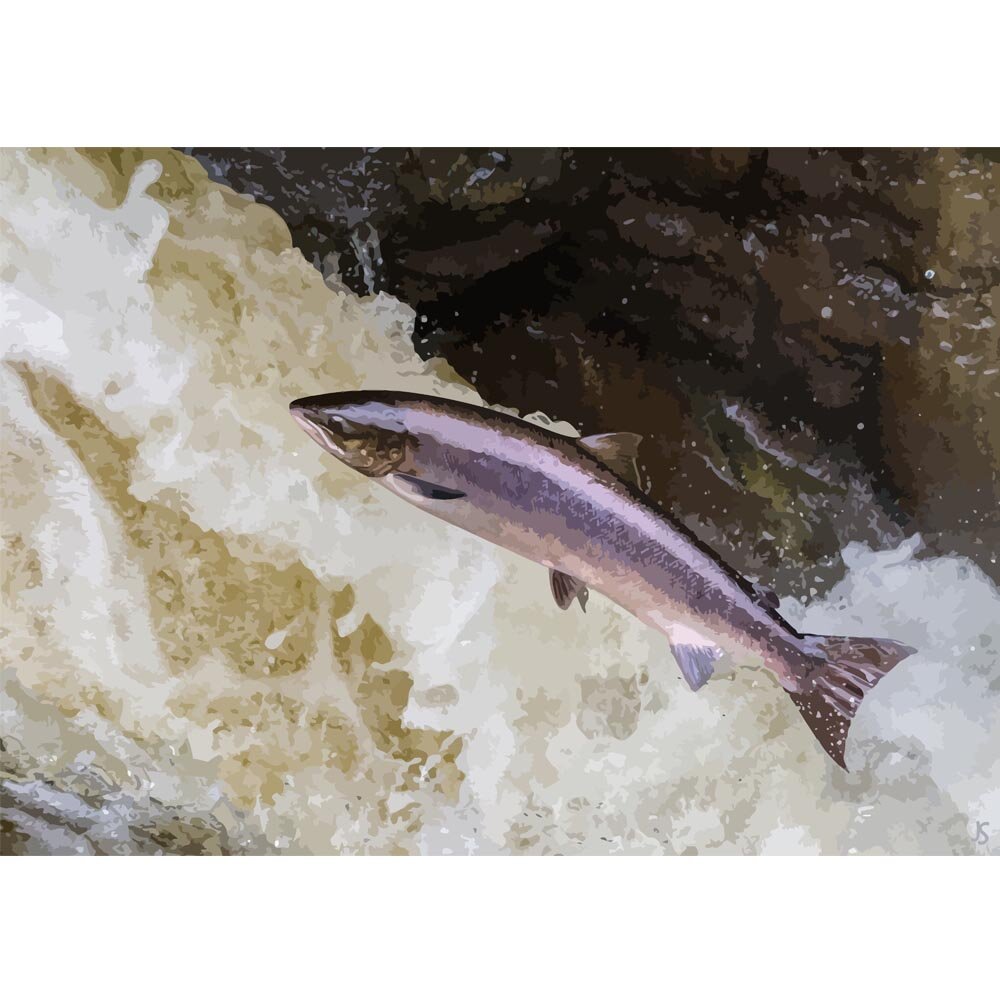 salmon jumping up stream abstract figurative painting print