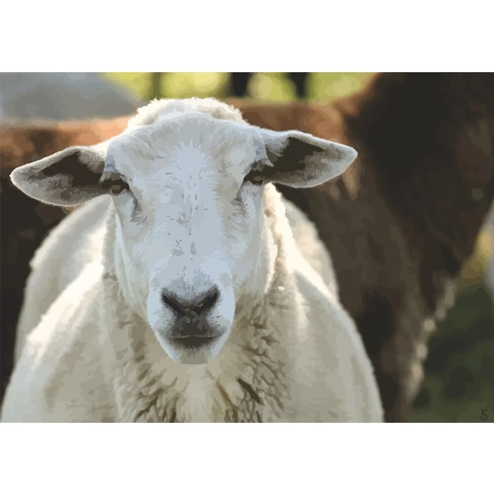 sheep posing like a typical sheep abstract figurative painting print