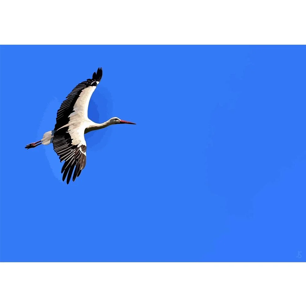 stork in flight deep blue sky abstract figurative painting print