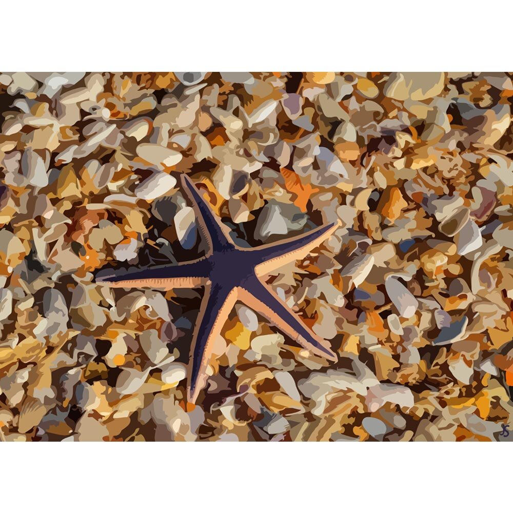 starfish on a bed of sea shells abstract figurative painting print