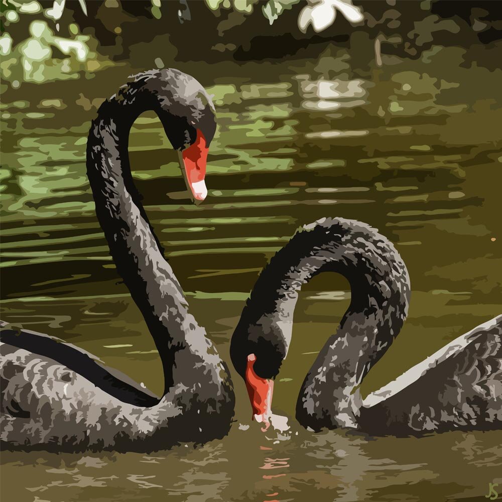 two black swans swimming close up abstract figurative painting print