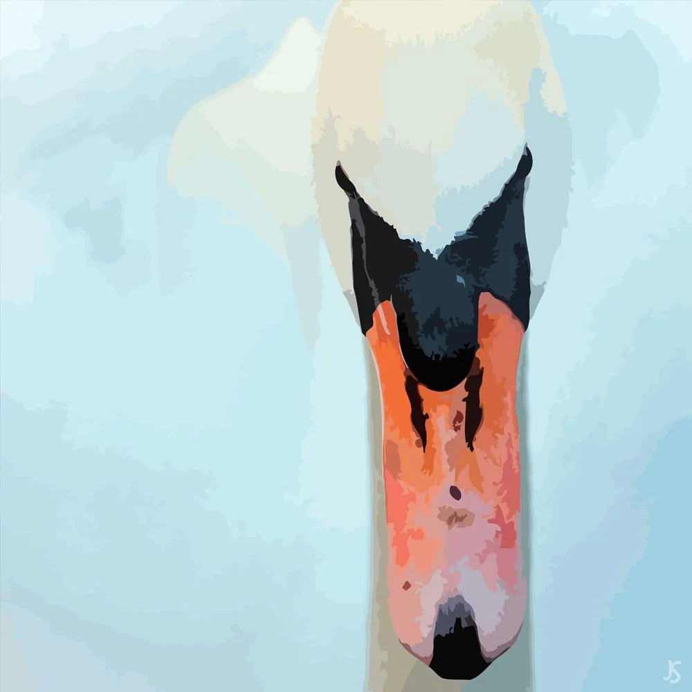swan beak close up abstract figurative painting print