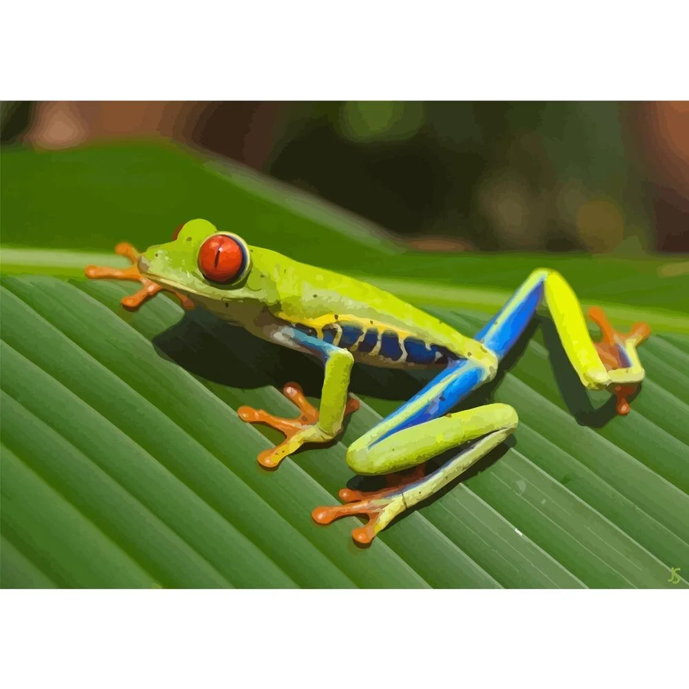 red eyed tree frog on a leaf abstract figurative painting print