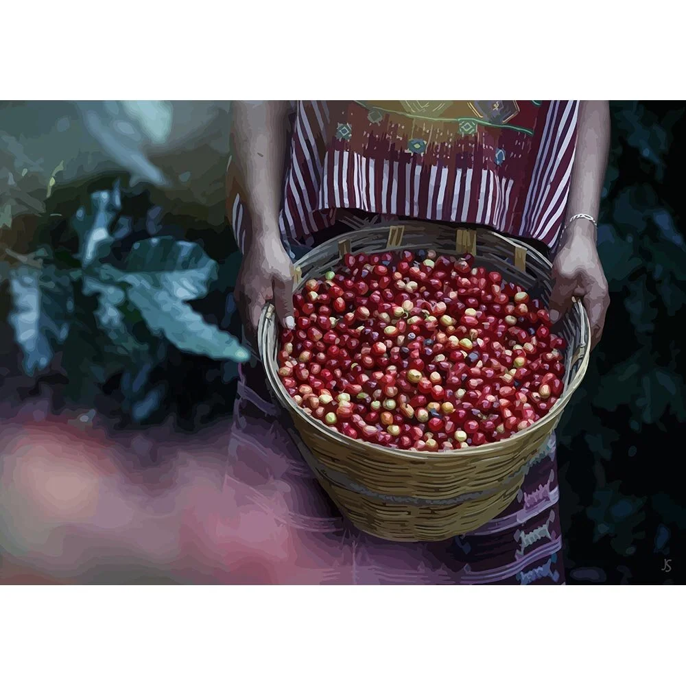 woman with basket full of coffee bean harvest abstract figurative painting print
