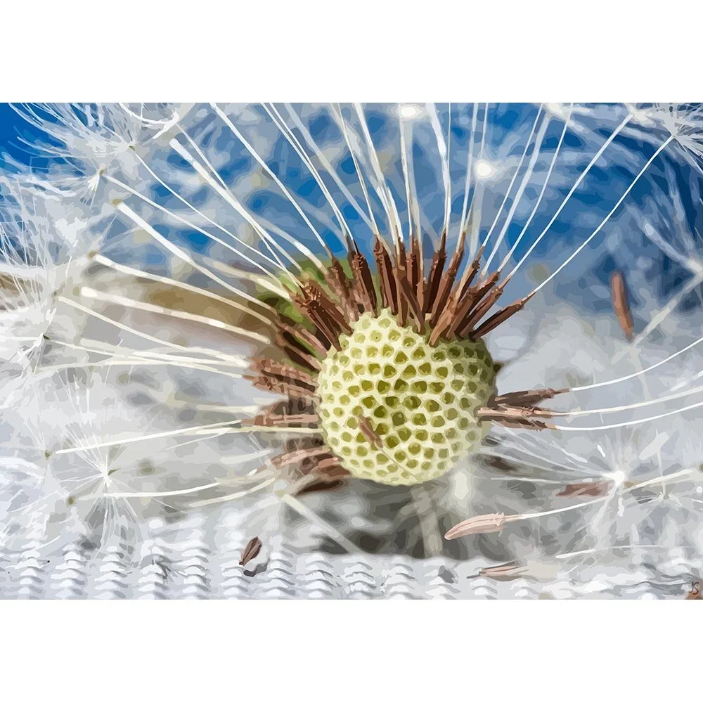 dandelion seeds on stem blue sky abstract figurative print