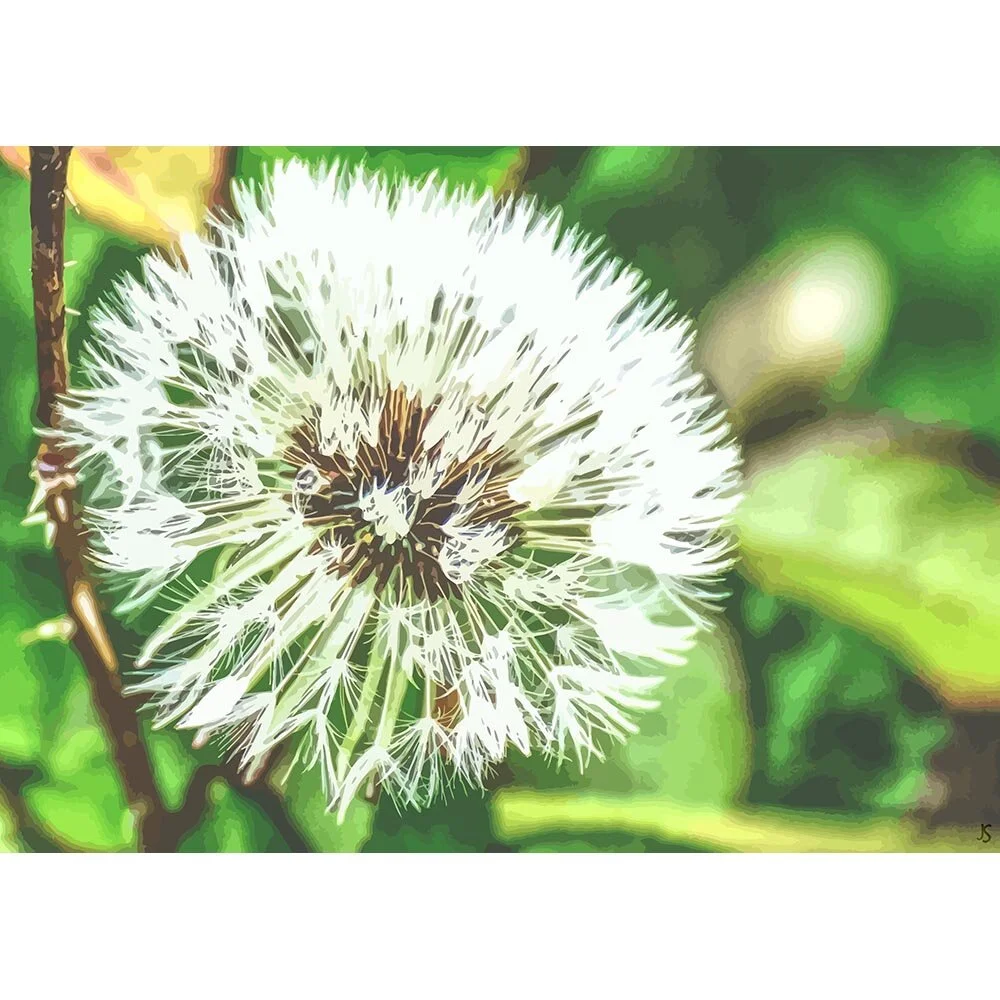 dandelion seeds on stem on a green background abstract figurative print