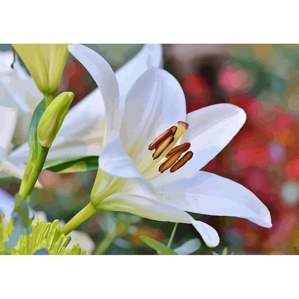 white lily flower close up abstract figurative print