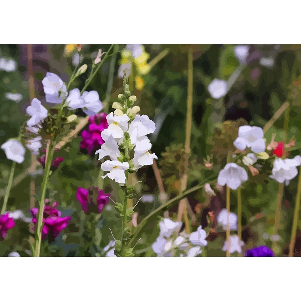 wild flowers in a field II abstract figurative print