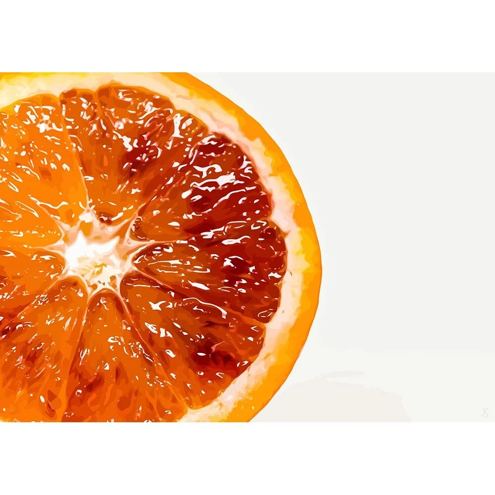 slice of a blood orange on white background abstract figurative print