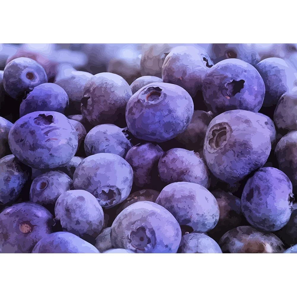 blueberries close-up abstract figurative print