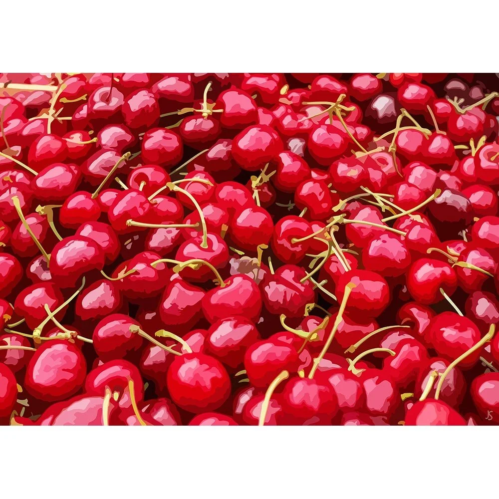 cherries with stems close-up abstract figurative print
