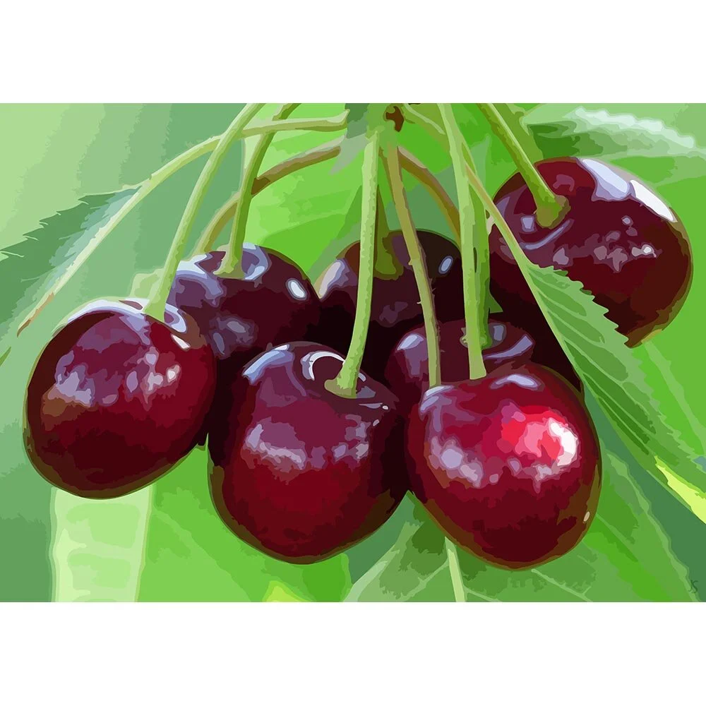 cluster of cherries hanging in a tree abstract figurative print
