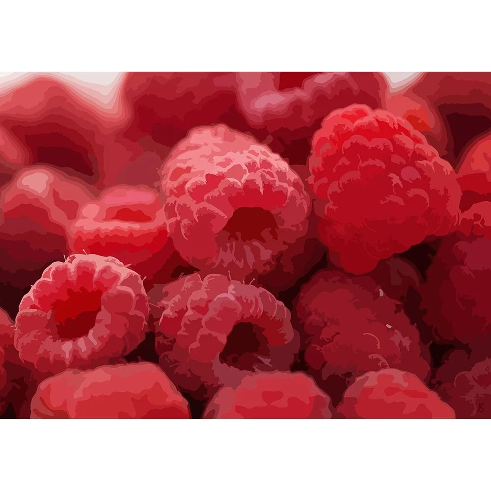 raspberries close-up abstract figurative print