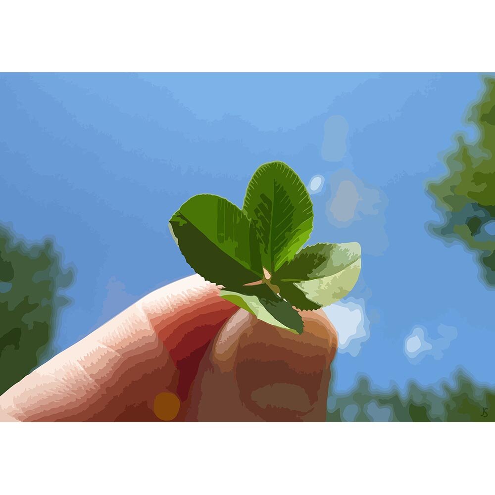 four leaf clover good luck charm abstract figurative  print