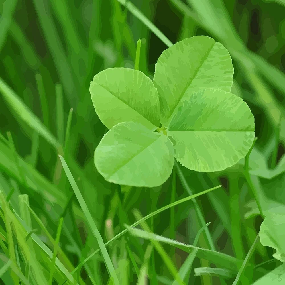 four leaf clover good luck charm abstract figurative  print