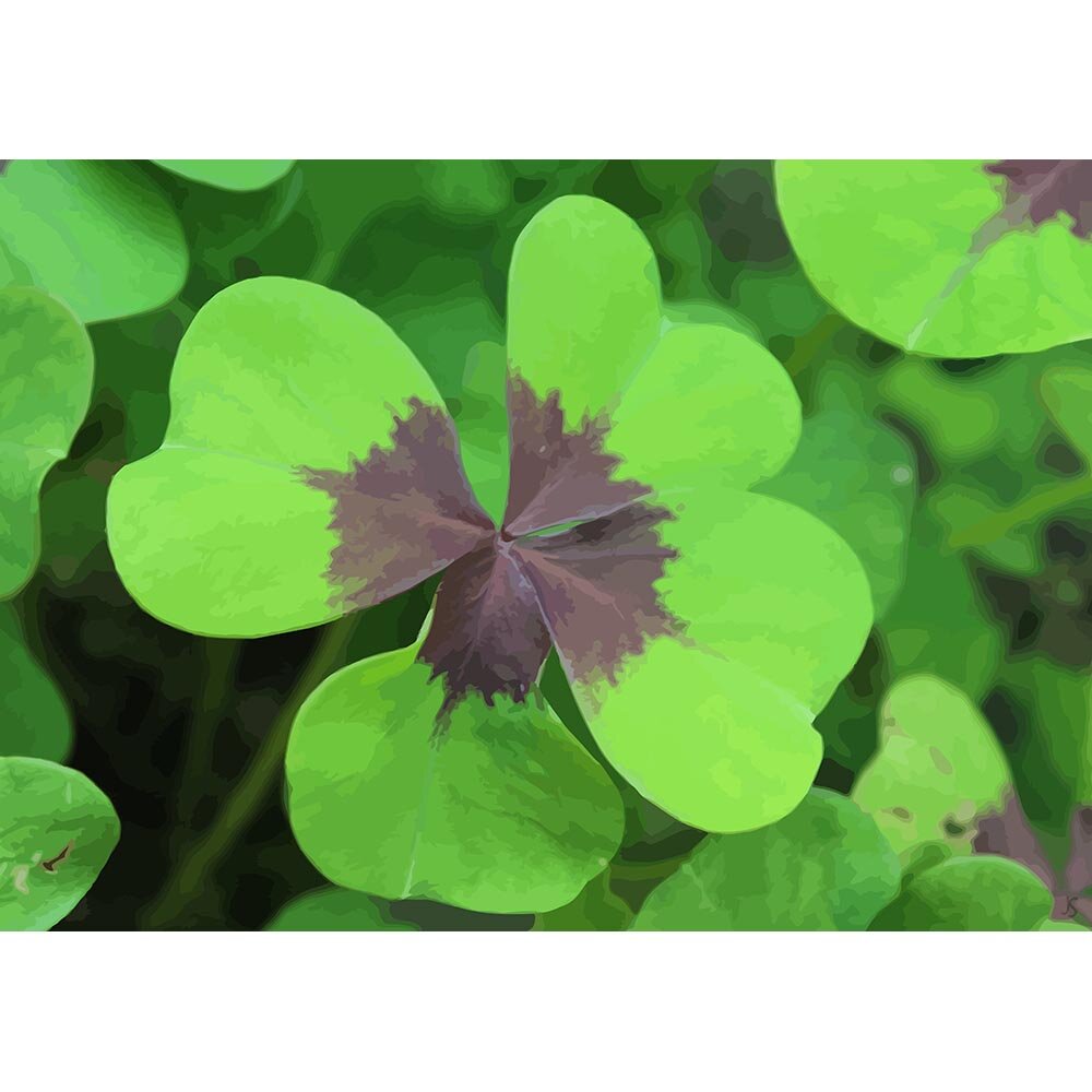 four leaf clover good luck charm abstract figurative  print