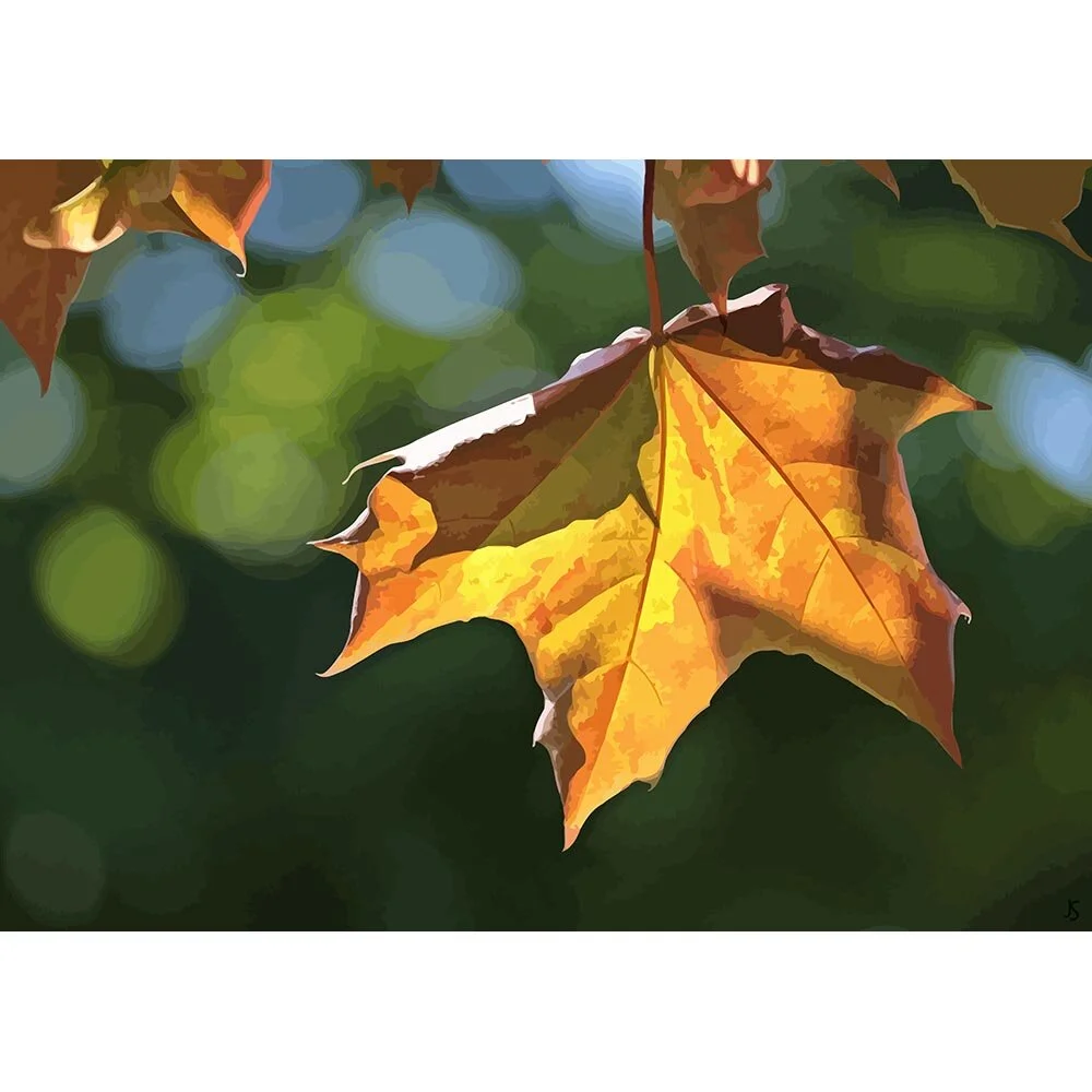 maple leaf on a sunny autumn day abstract figurative print
