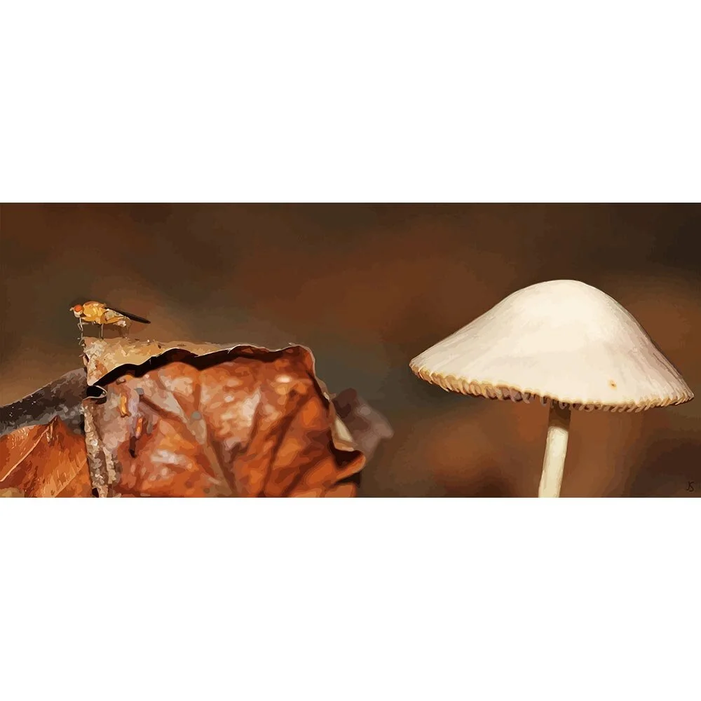 mushroom and leaves autumn abstract figurative print