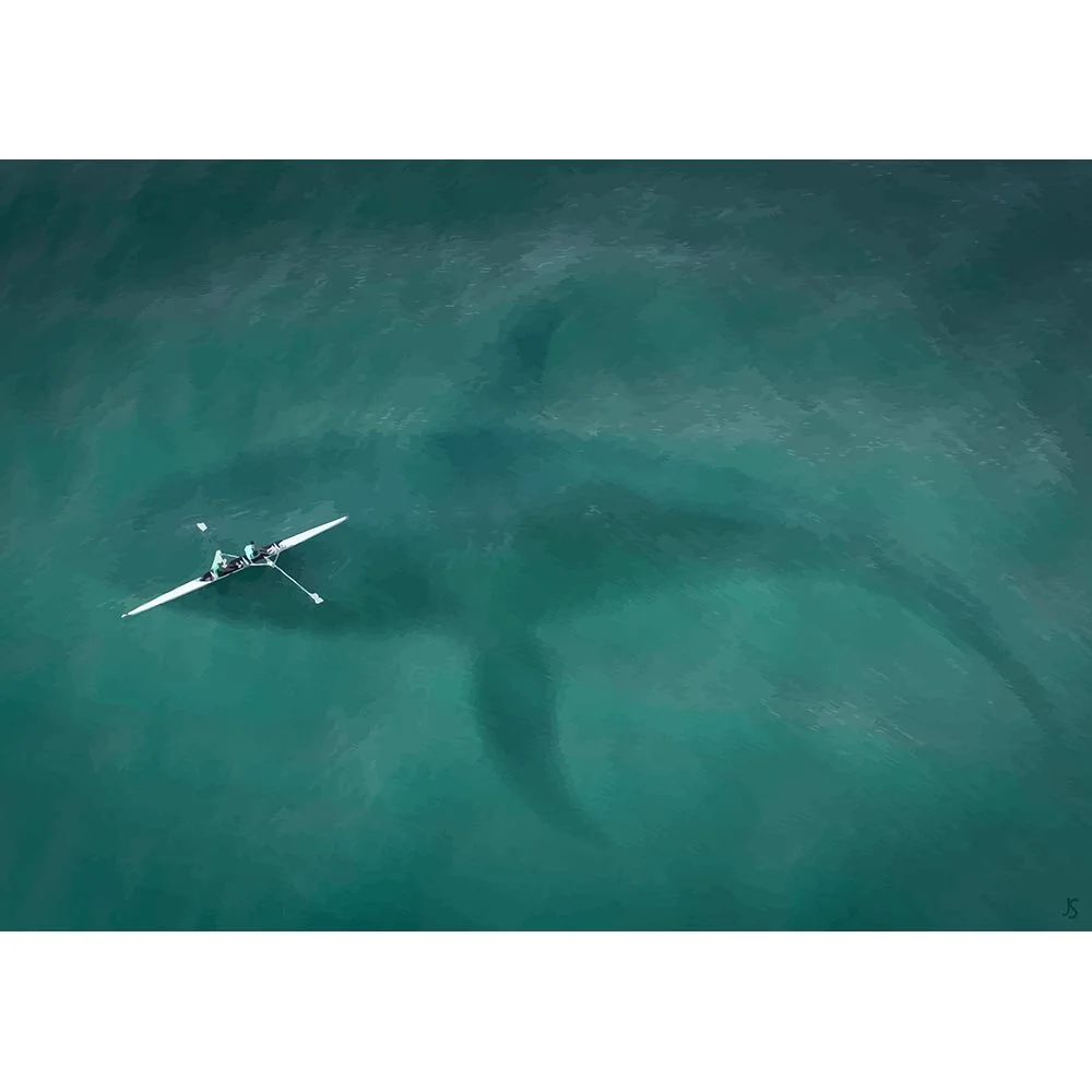 rowers crossing over a whale bird's eye view abstract figurative print