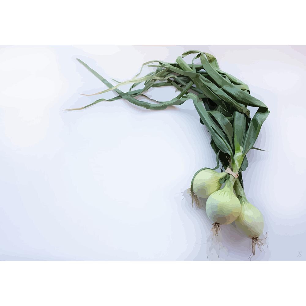 onion bushel with greens abstract figurative art print