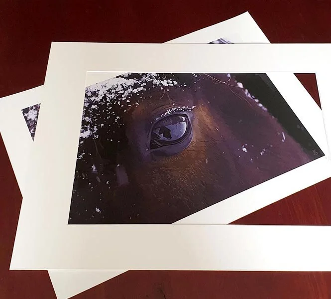 How to mount a fine art print